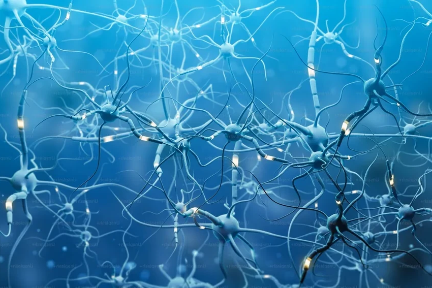 Нейросети и роботы недели: прорывы в ИИ и забывании