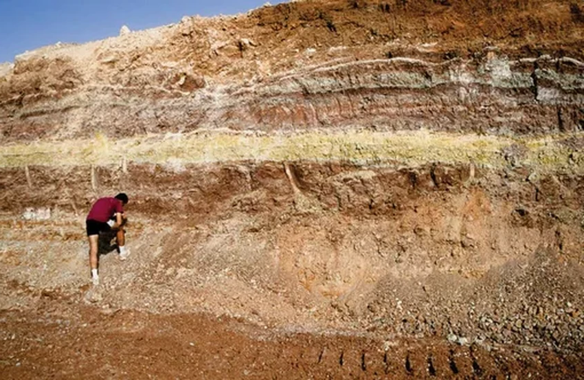 Самое опасное место в истории: палеонтологи о Сахаре 100 млн лет назад