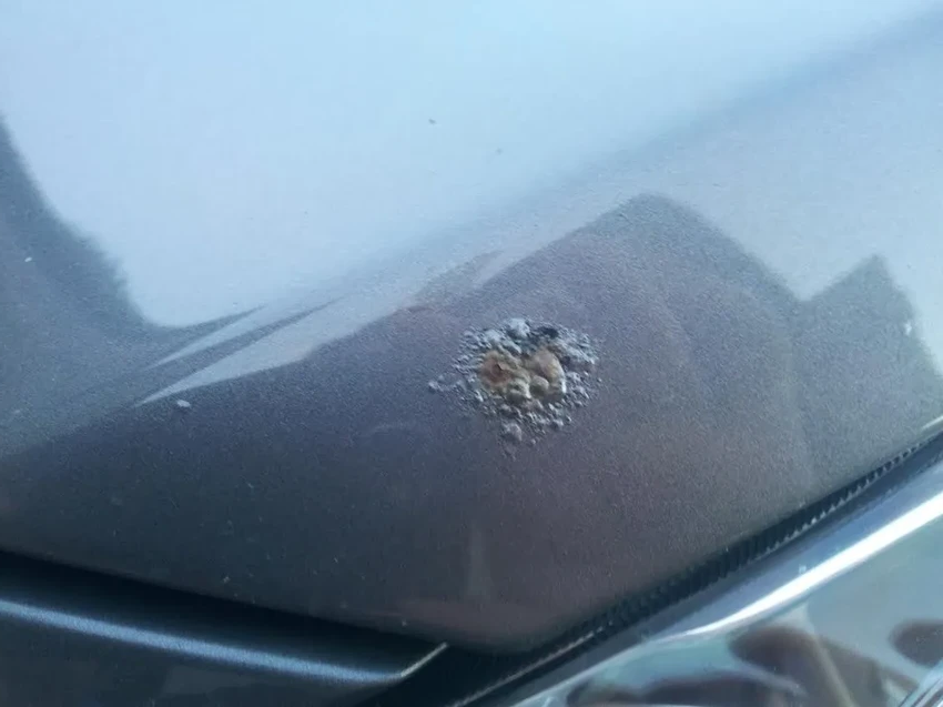 Как убрать ржавчину с кузова авто: первые признаки и способы борьбы