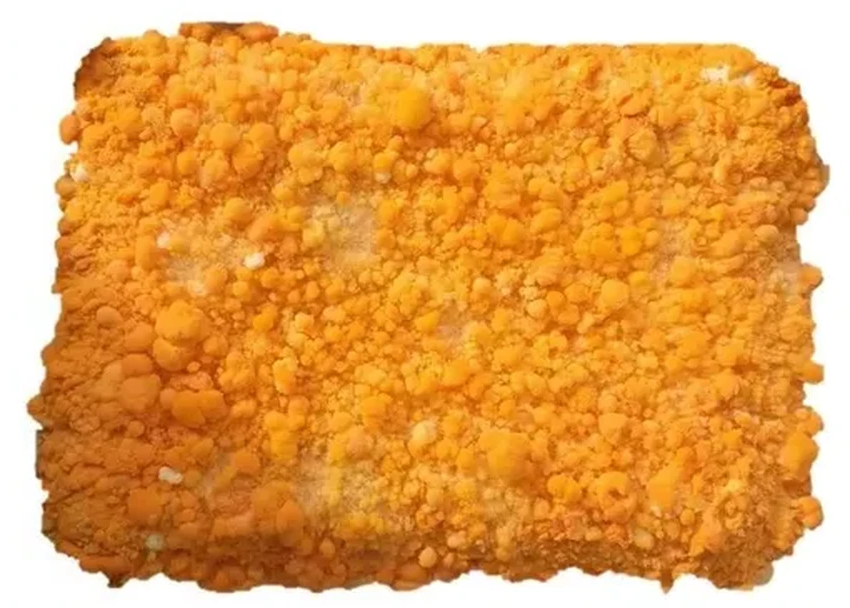 Ученый превращает отходы в еду с помощью грибковой ферментации