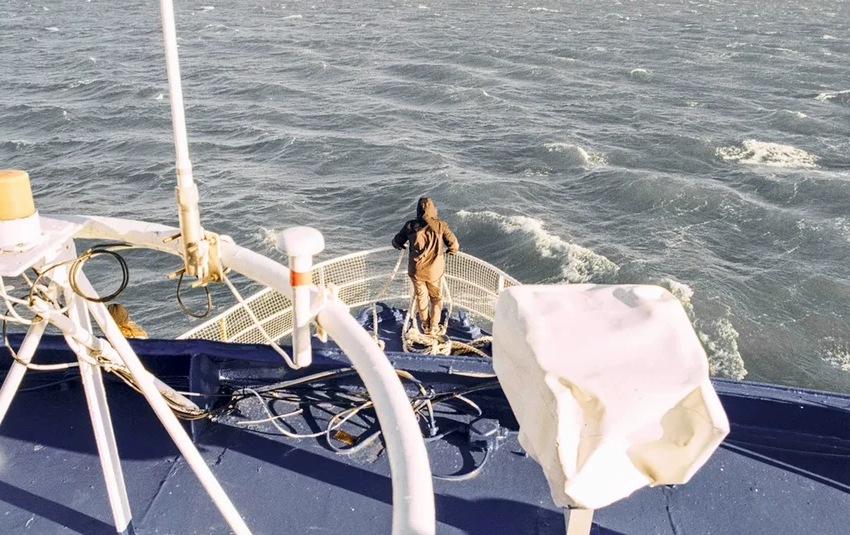 Почему косатки атакуют лодки? Новая теория об обучающих «игрушках»