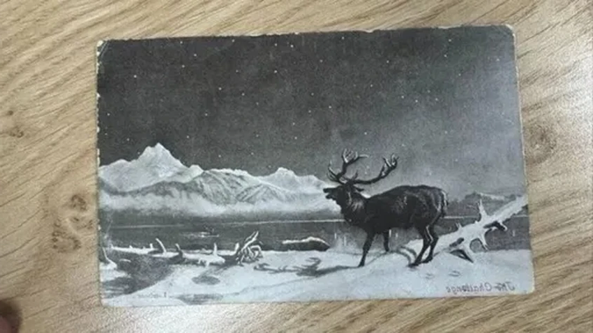 Письмо из 1903 года: открытка нашла адресата в Уэльсе спустя 121 год