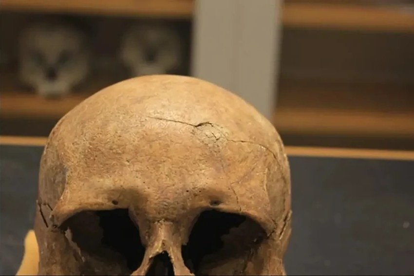 Норвежские викинги были кровожаднее датских: доказательства на костях