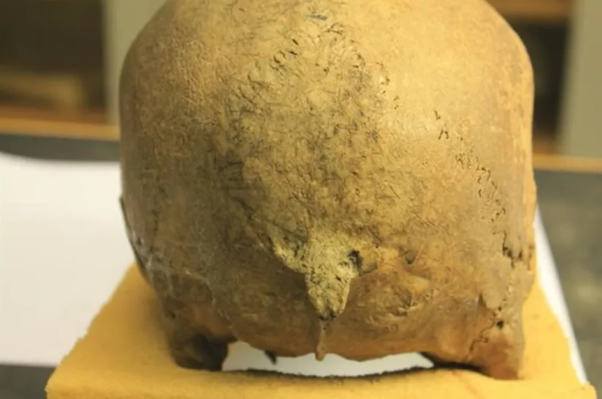 Норвежские викинги были кровожаднее датских: доказательства на костях