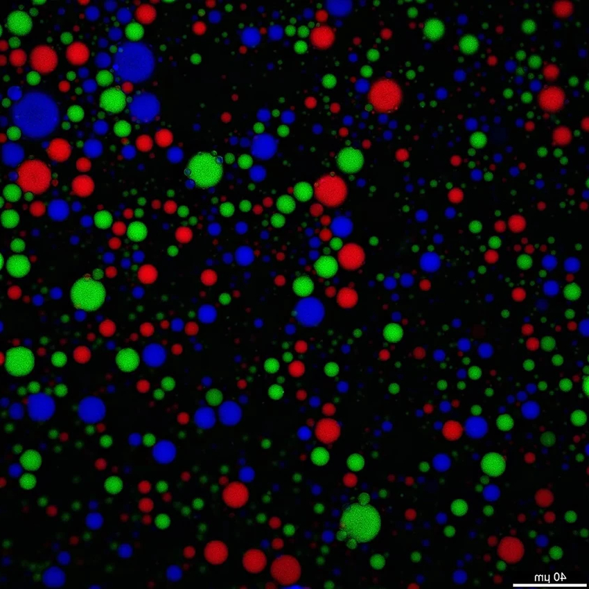 Дождь как ключ к жизни: как пресная вода создала первые клетки