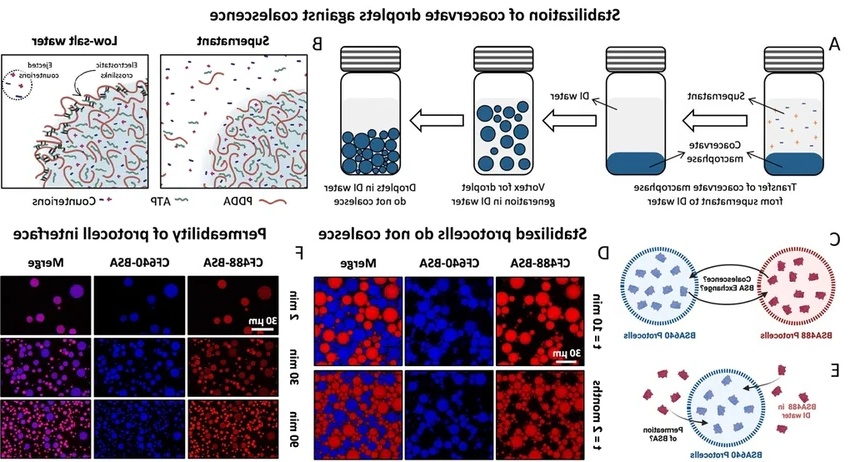 Дождь как ключ к жизни: как пресная вода создала первые клетки