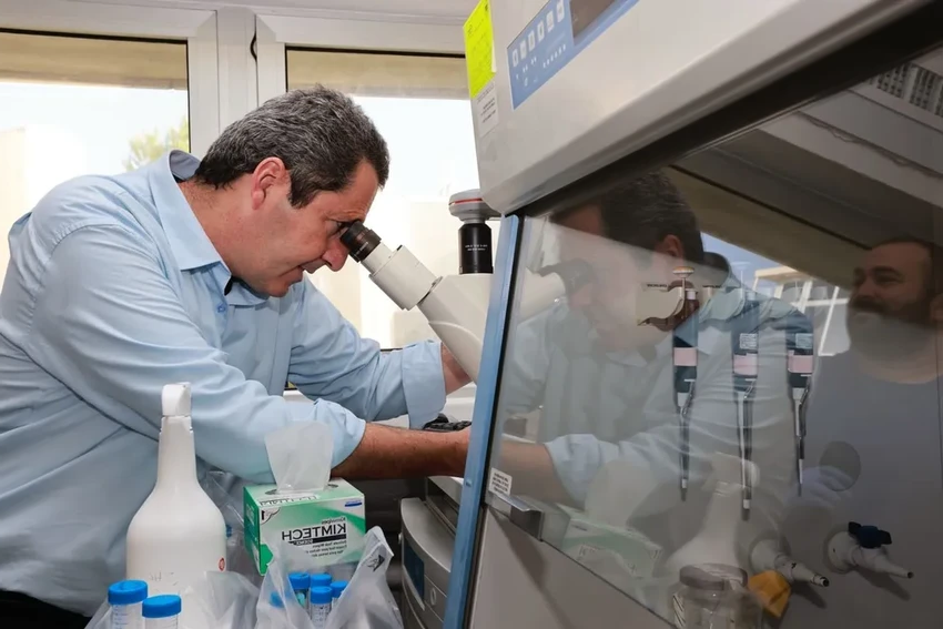 Культивируемая курятина стала дешевле: цена сравнялась с органическим мясом