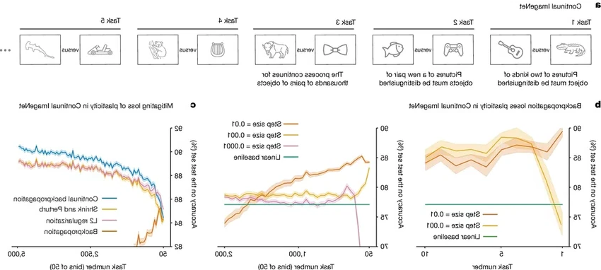 Нейросети учатся забывать: прорыв для непрерывного обучения ИИ
