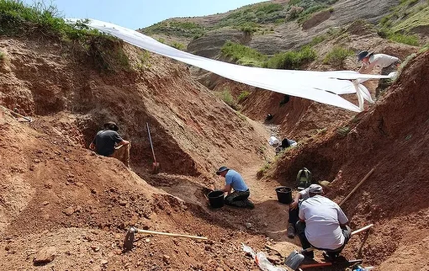 В Киргизии нашли нового хищного динозавра с костяным рогом над глазом