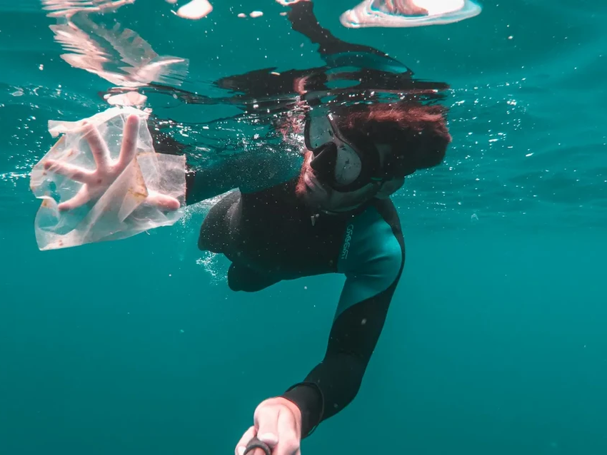 Микропластик в человеческом мозге: шокирующие данные учёных