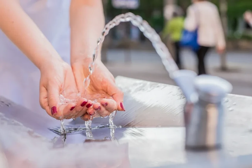 Бурые водоросли как основа для лекарств: создан новый биосорбент