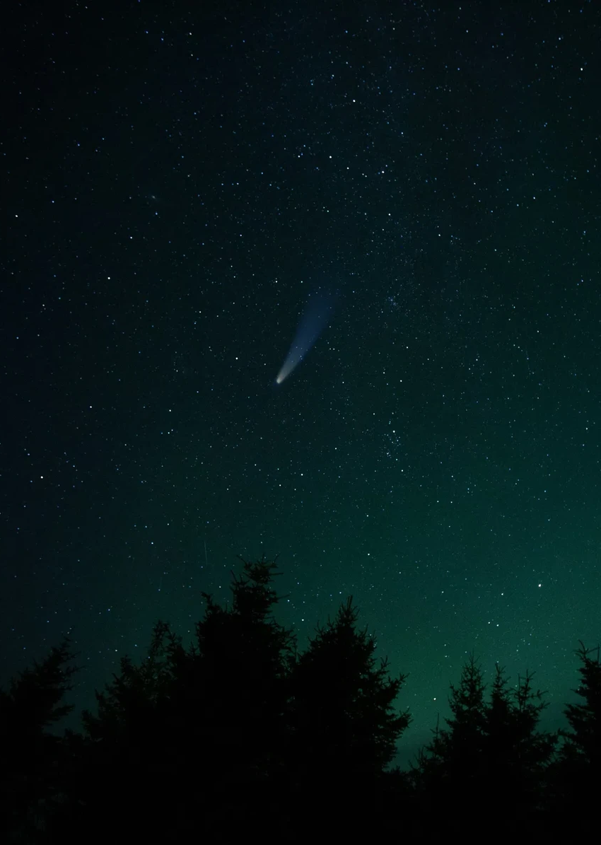 Астероид, убивший динозавров, прибыл из дальнего космоса