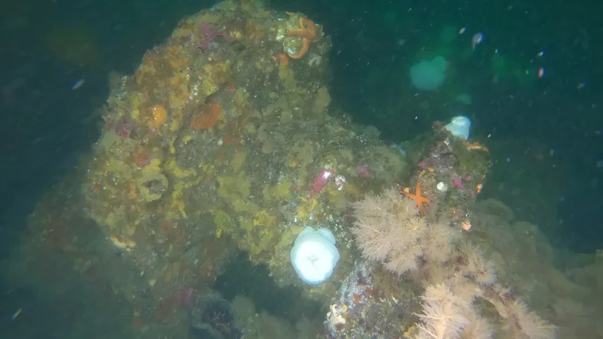 Забытая битва на Аляске: как нашли японские корабли времен Второй Мировой