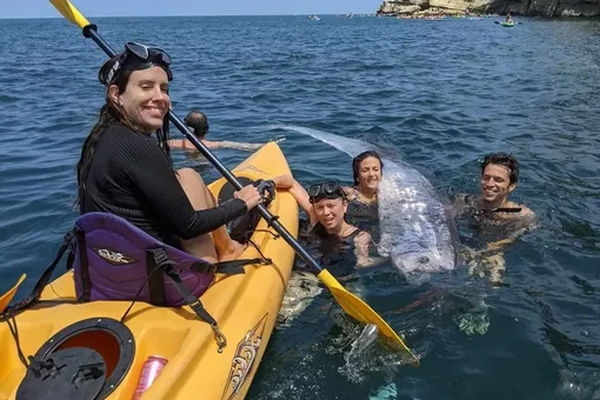 Редчайшая «рыба судного дня» замечена у берегов Калифорнии