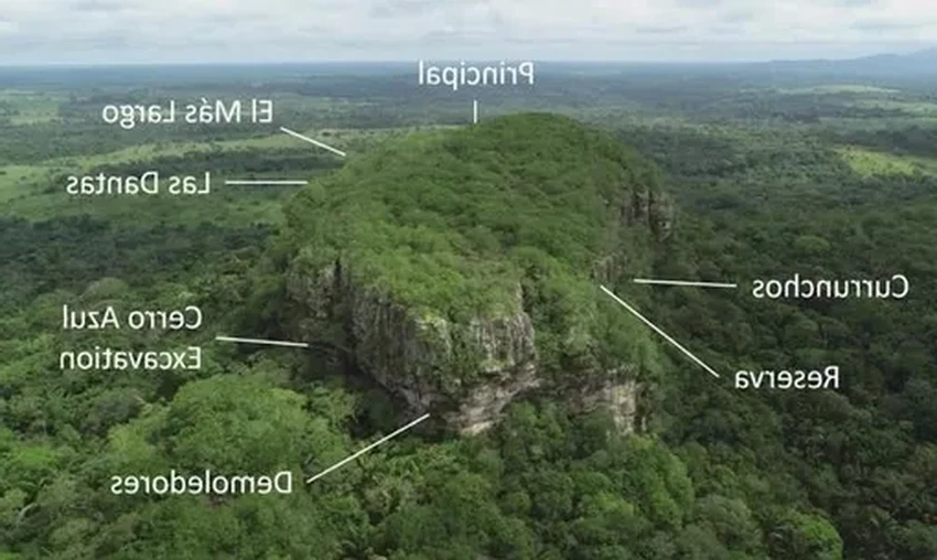 Древние рисунки Амазонии: что они рассказали о диете и мифах первых людей