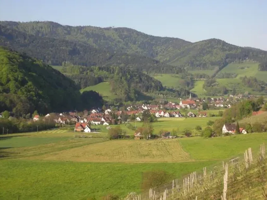 В Германии обнаружен клад: 1500 средневековых монет, загадка которых не разгадана