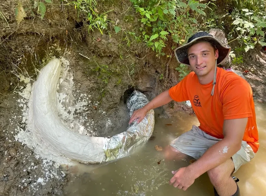 Первый бивень мамонта в Миссисипи: уникальная находка охотника за окаменелостями