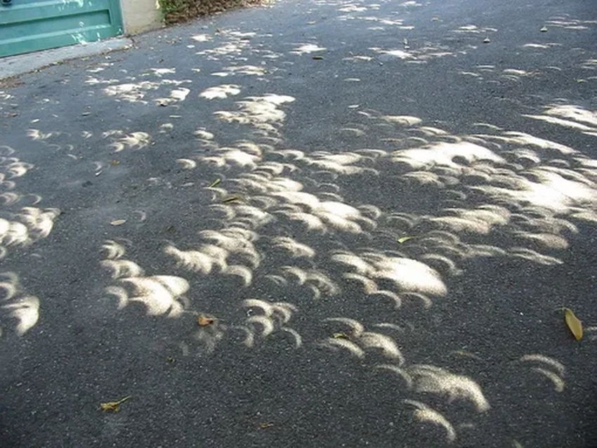 Перевернутый дом на стене: как занавеска создала оптическое чудо