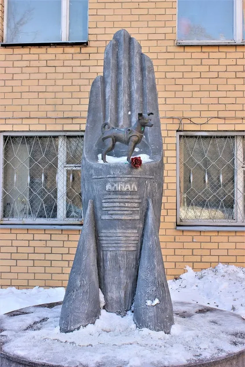 Правда о Лайке: история первого живого существа на орбите