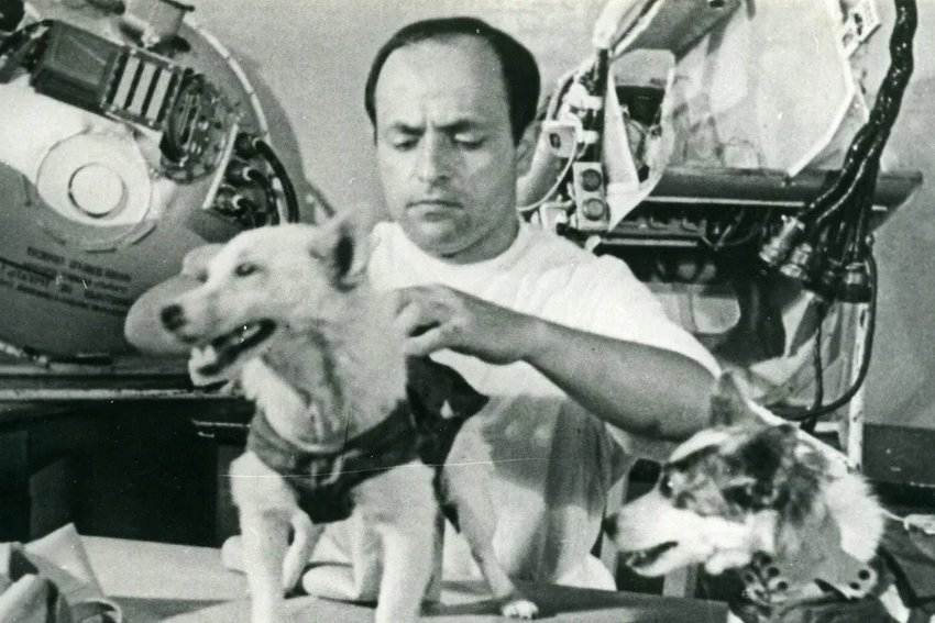 Белка и Стрелка: неизвестные факты о легендарном собачьем полёте в космос