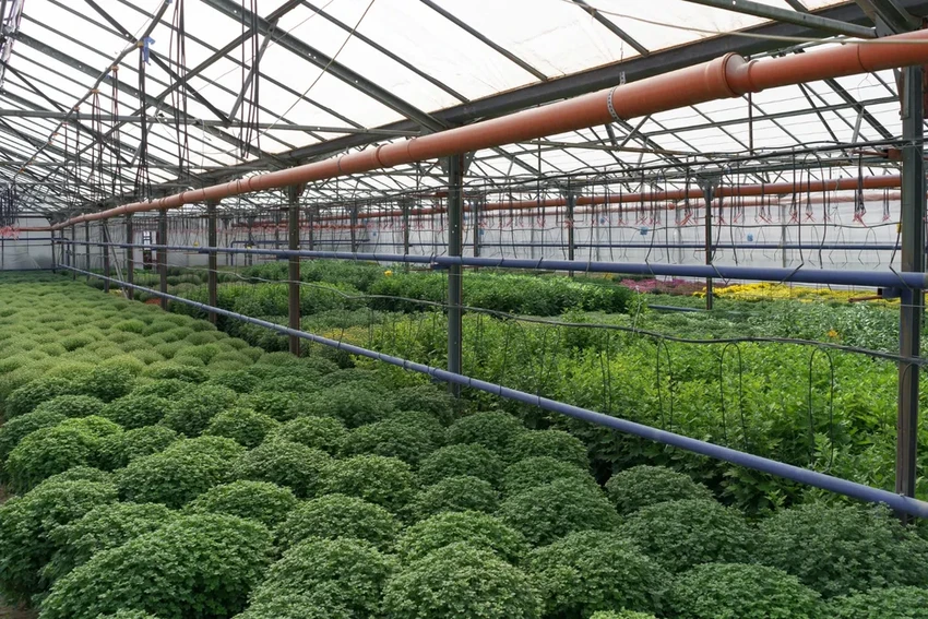 Будущее городских ферм: как умные технологии меняют сельское хозяйство в мегаполисах