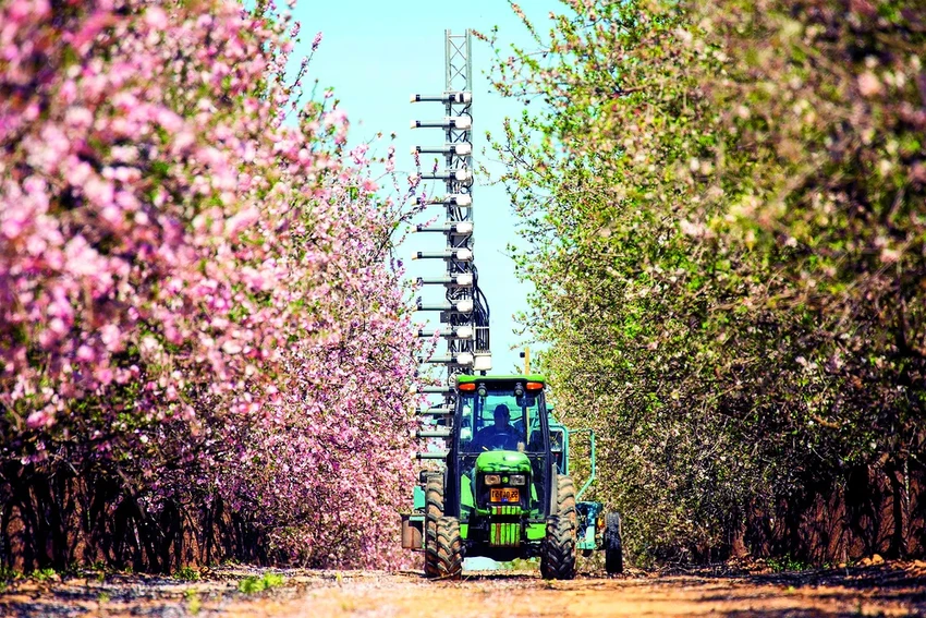 Роботы-опылители: спасут ли технологии планету, если пчелы исчезнут?