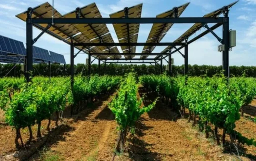 Солнечные электростанции для мира: сколько земли на самом деле потребуется