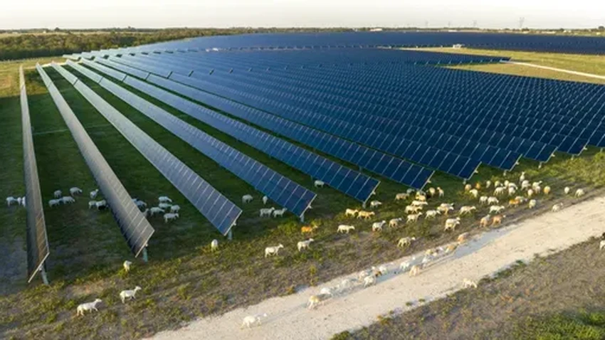 Выдержат ли солнечные электростанции затмение 8 апреля? Как энергетики готовятся к четырём минутам ночи