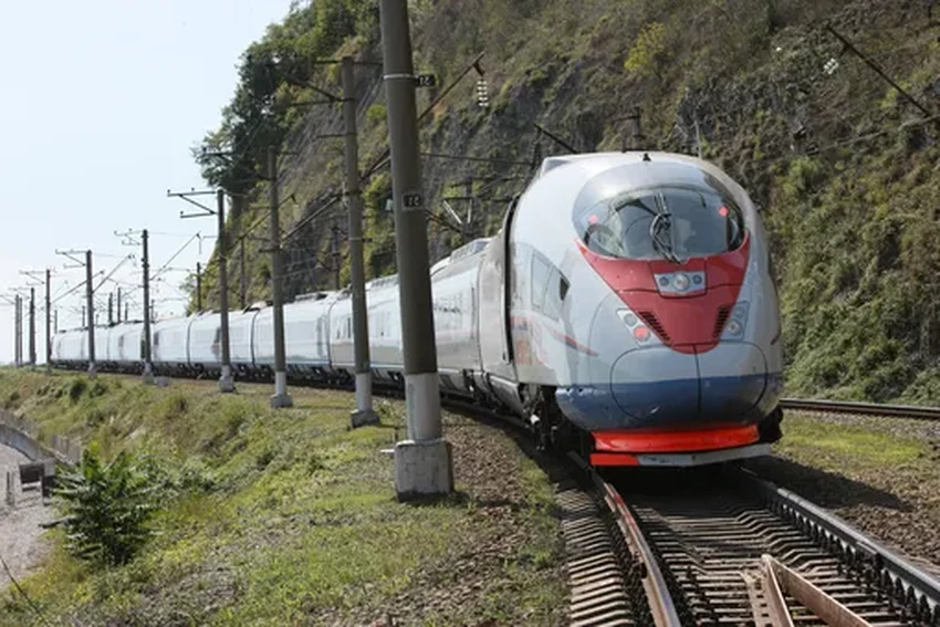 Птицы против поездов: скрытые угрозы и неожиданные последствия
