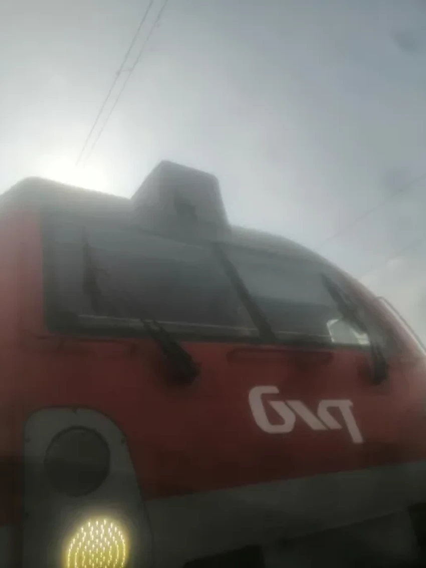 Птицы против поездов: скрытые угрозы и неожиданные последствия