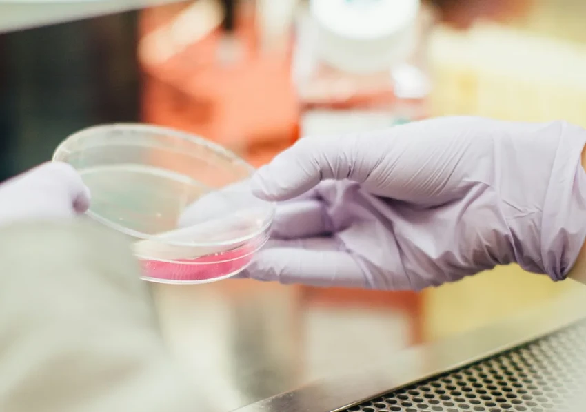 Искусственный интеллект: где поставить запятую в «использовать нельзя бояться»?