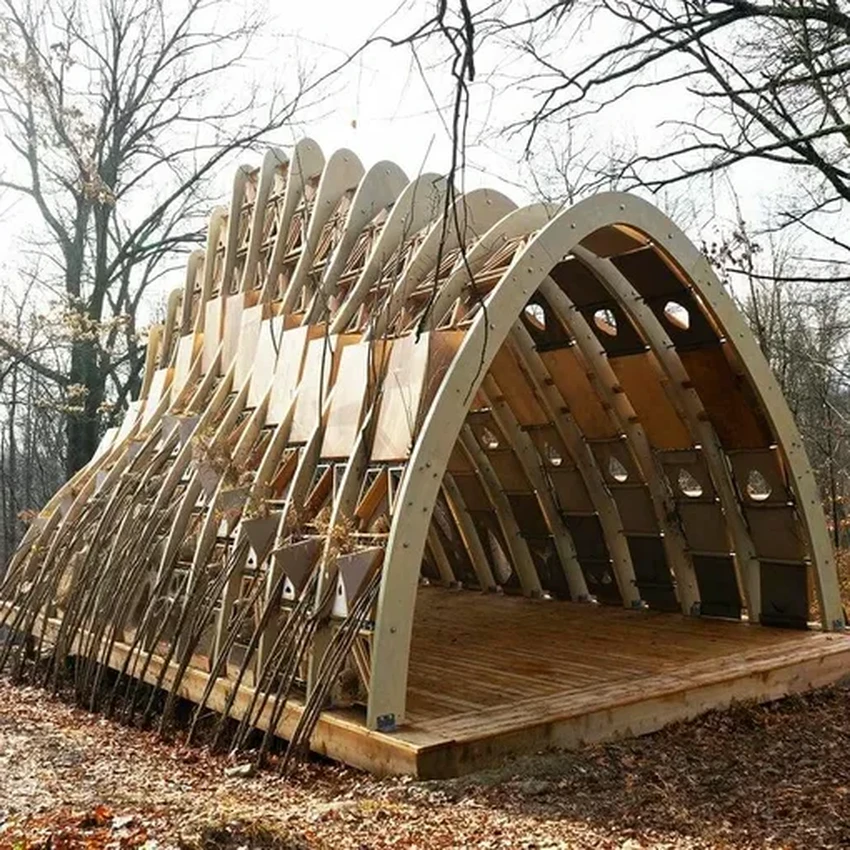 Дом, который растёт: как живые деревья становятся стенами будущих коттеджей