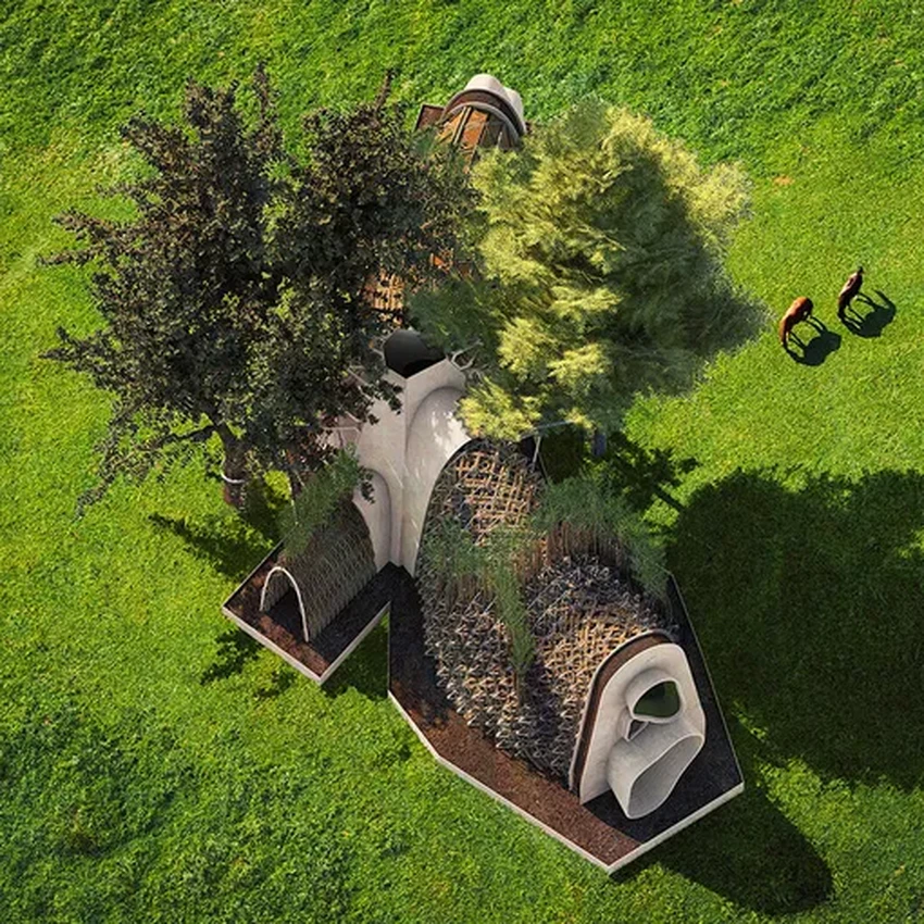 Дом, который растёт: как живые деревья становятся стенами будущих коттеджей