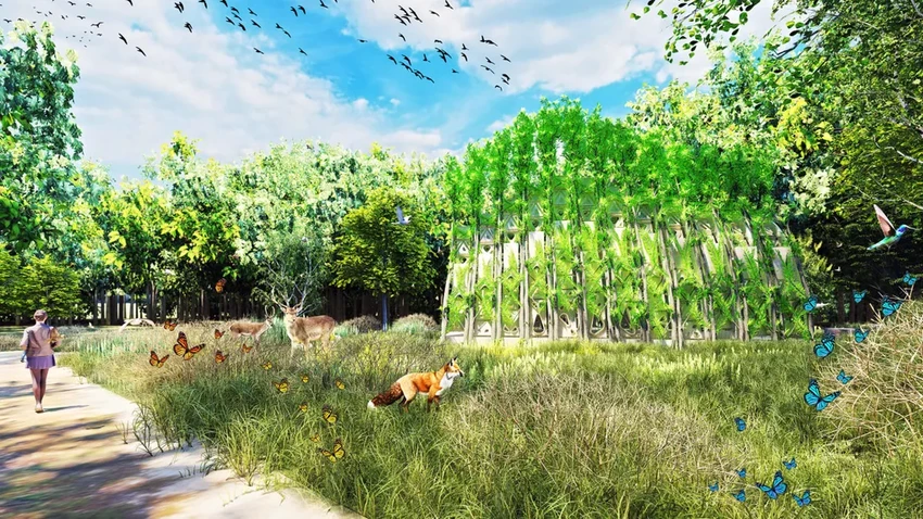 Дом, который растёт: как живые деревья становятся стенами будущих коттеджей