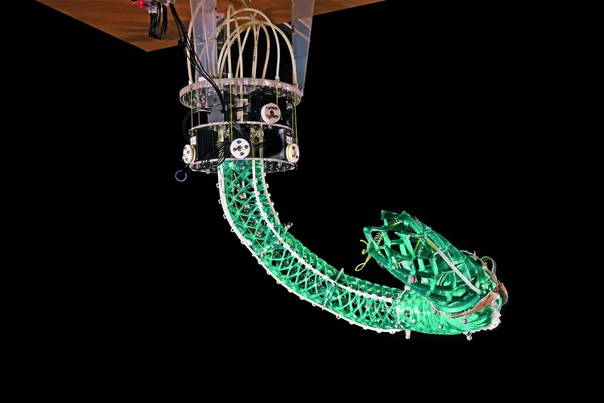 Солнечные болиды, роботы и алмазные бактерии: главные изобретения 2023