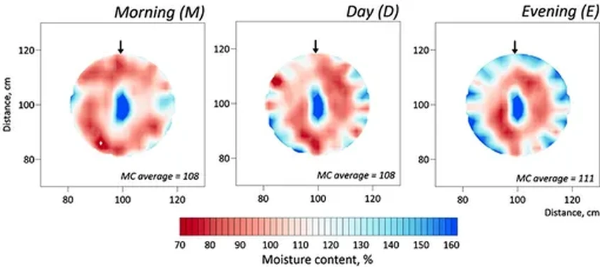 Как Москва преображается благодаря стартапам: инновации для города