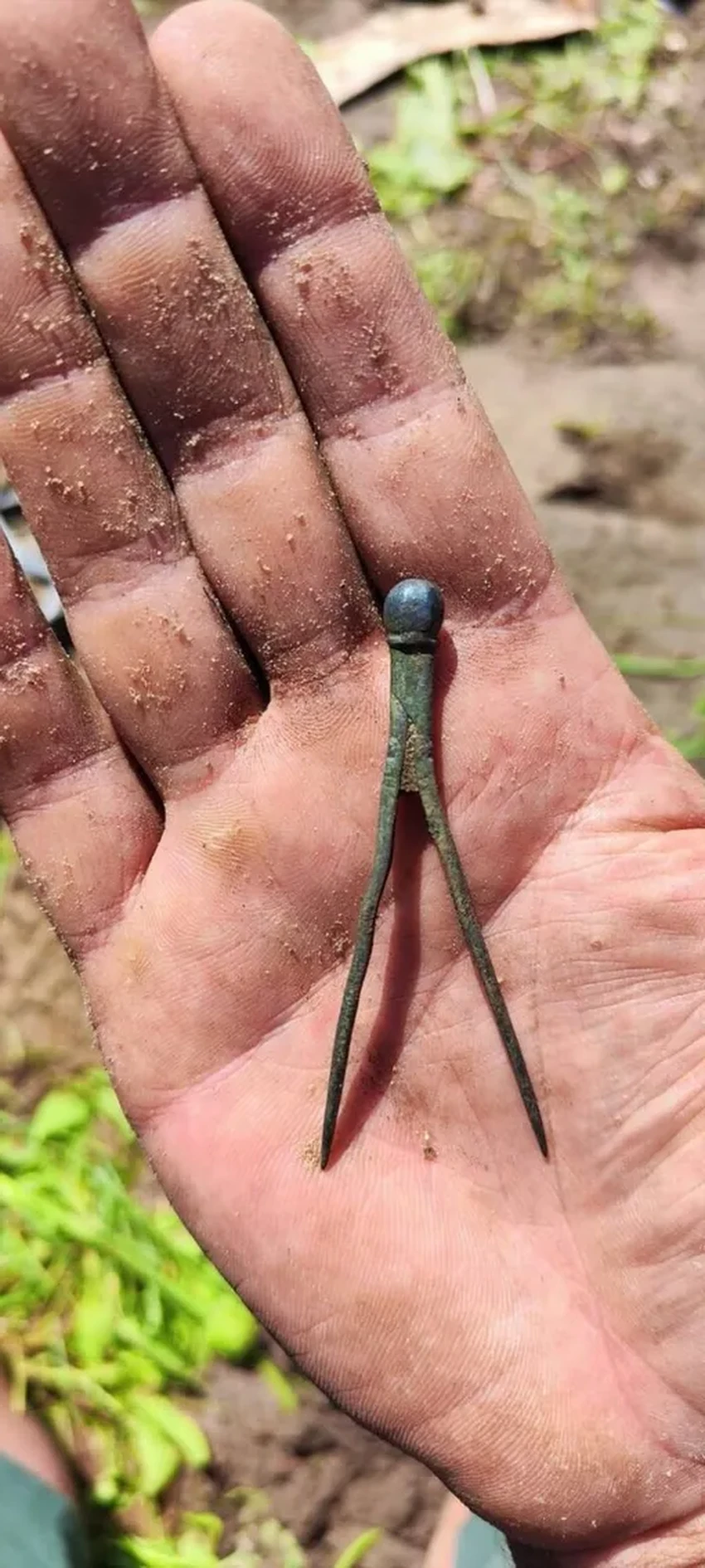 Компас Коперника: найдена личная вещь ученого, изменившего картину мира