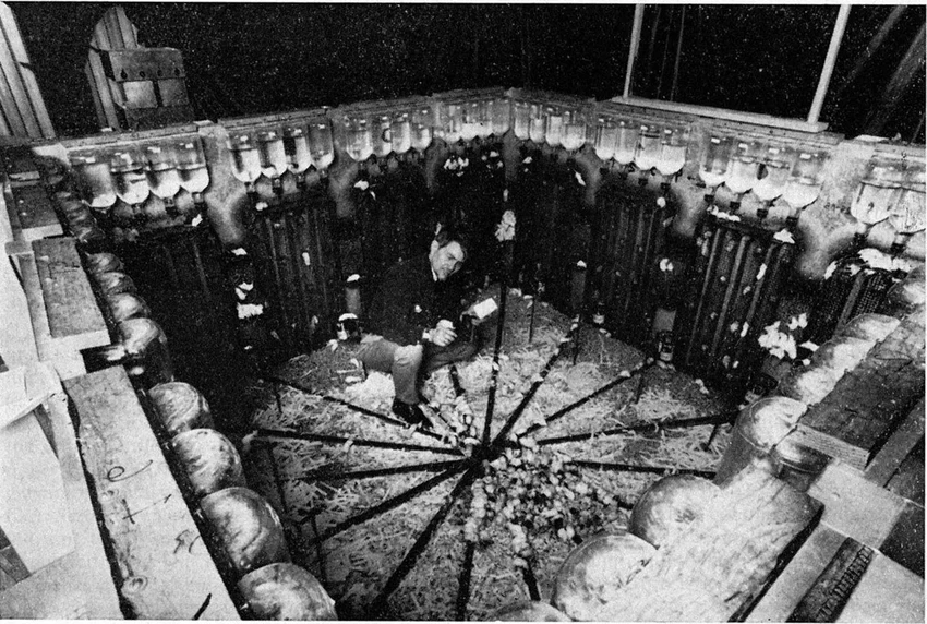 «Вселенная-25»: что погубит человечество в мире без проблем?