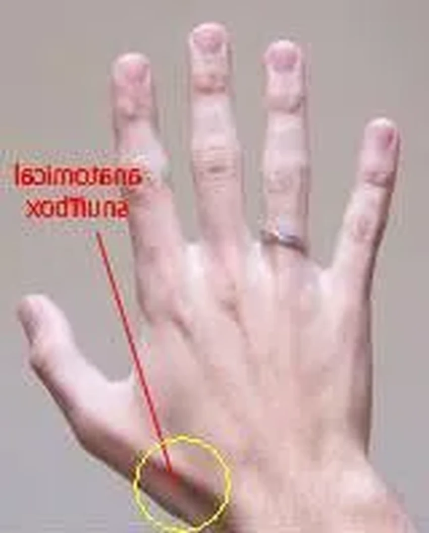 Как называются на самом деле знакомые вещи? От грифонажа до петрикора