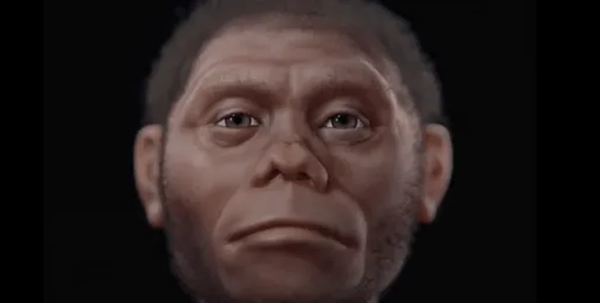 Предки «хоббитов» с острова Флорес были ещё меньше, чем считалось