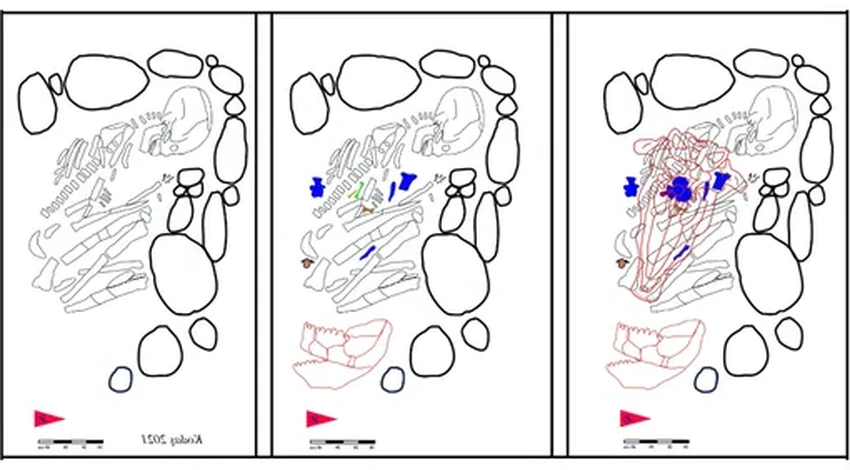 12 000 лет назад: шаманка, похороненная с дикими животными в Турции