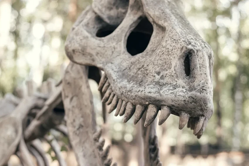 Сильные дожди в Бразилии обнажили скелет одного из древнейших динозавров