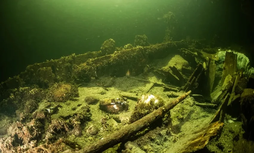 В Балтике найден корабль с сотнями бутылок шампанского XIX века