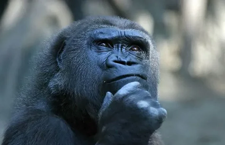 Какие тормозные диски выбрать вместо оригинальных? Мнение эксперта и список брендов