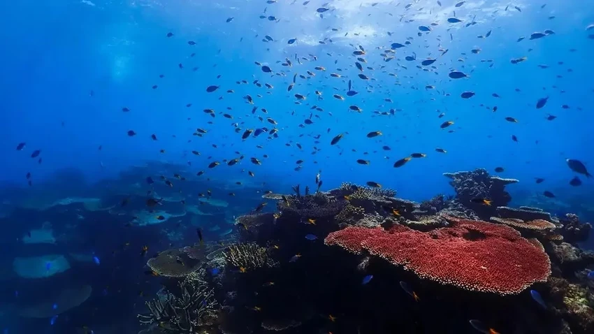 Первая сложная жизнь на Земле могла возникнуть 2,1 миллиарда лет назад