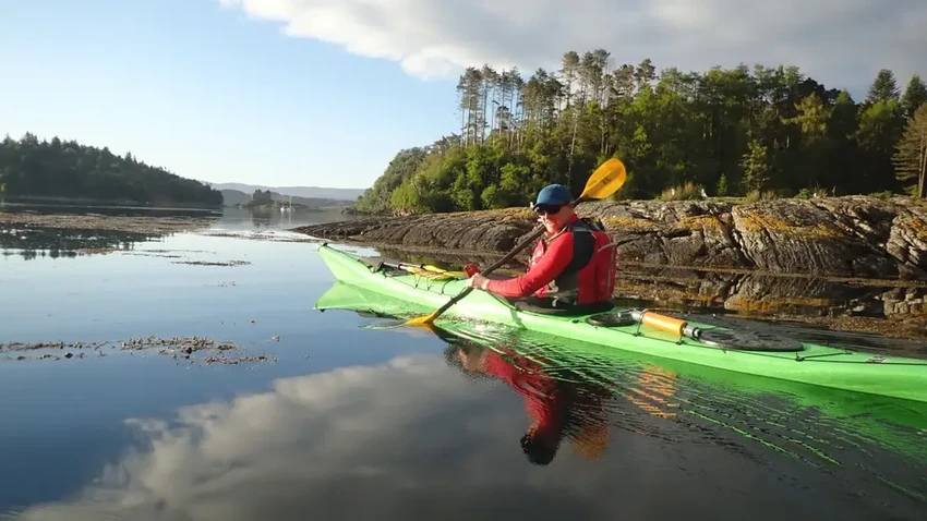Правила «туалета» в дикой природе: как не привлечь внимание хищников