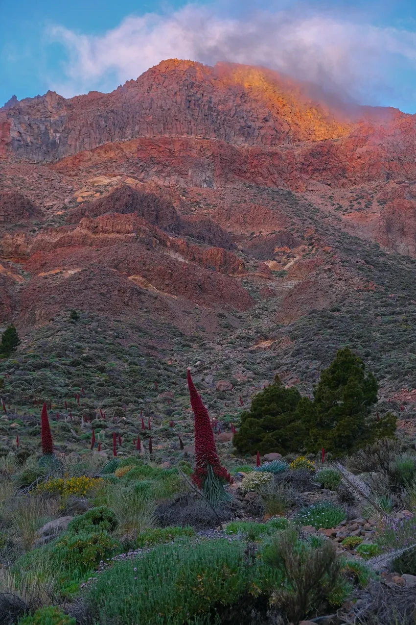 Рекорд жары: Земля пережила самый жаркий день в истории