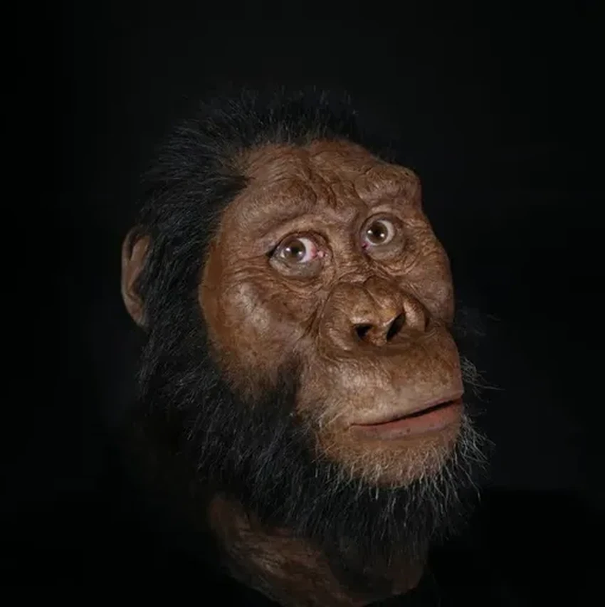 Почему мы, Homo sapiens, пережили всех своих родственников-гоминин?