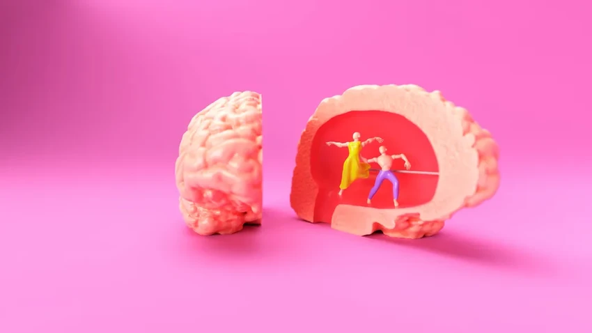 15 научных фактов о мозге: как работает наше серое вещество