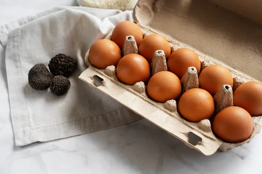 15 научных фактов о мозге: как работает наше серое вещество